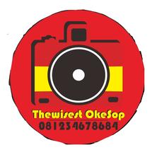 Logo Thewisest Okesop