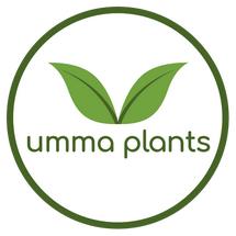 Logo Umma Plants