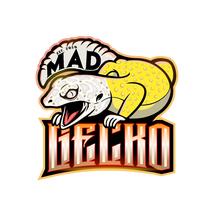 Logo Mad Gecko