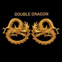 Logo DOUBLE DRAGON
