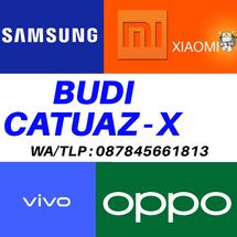 Logo BUDI CATUAZ-X