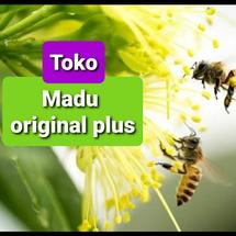 Logo Madu original plus