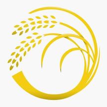 Logo Oryza Gold