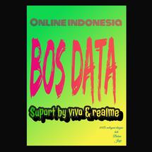 Logo Bos data