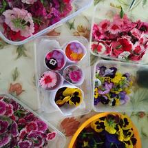 Logo MagnoFlorist