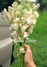 Logo Khazia Flower