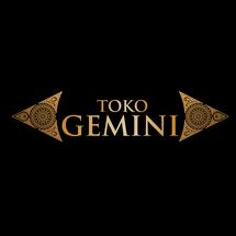 Logo TAURUS & GEMINI