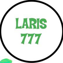 Logo LARIS 777