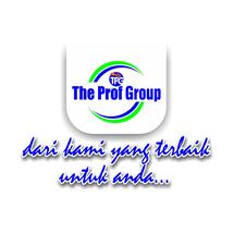 Logo The Prof Group