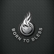 Logo HolyWingArmyStore