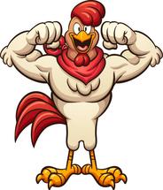 Logo Cyber Fighting Cock