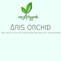 Logo aris nursery