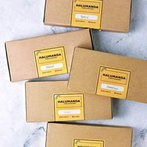Logo Halumanda Store
