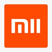 Logo MII Store
