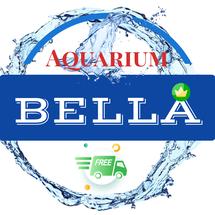Logo Bella And Zona