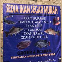 Logo Galen Fish Farm