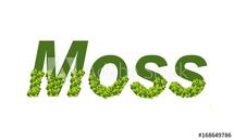 Logo moss indonesia