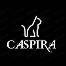 Logo Caspira