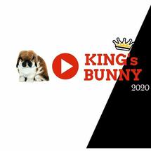 Logo KingsBunny
