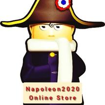 Logo Napoleon2020