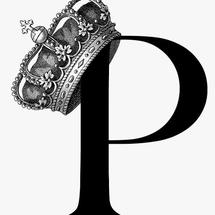 Logo princeshop88