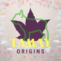 Logo Tamay Bandung