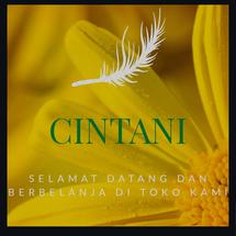Logo CINTANI