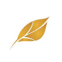 Logo Kleen and Kare