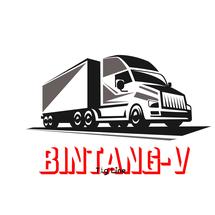 Logo bintang-v