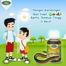 Logo AASIYAH HERBAL GROSIR