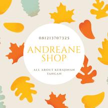 Logo Andreane Shop