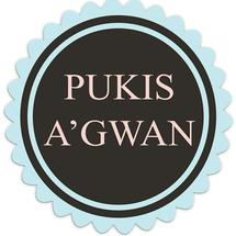 Logo Pukis Agwan