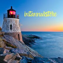 Logo Intannurstore