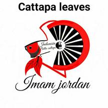 Logo imamjordanstore