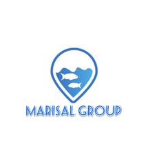 Logo Marisal Group