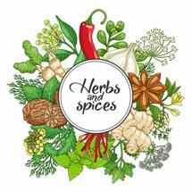 Logo Erbe Aromatiche