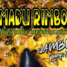 Logo Madu Rimbo Murni Jambi