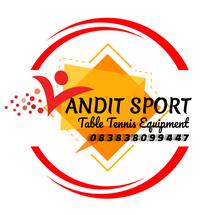 Logo Andit_Sport