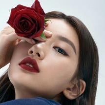 Logo Red Jangmi