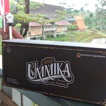 Logo Brownies fudgie solo