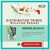 Logo toko barokkkkkah