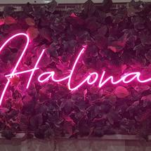 Logo Halona Utama