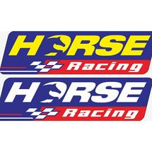 Logo horseracing