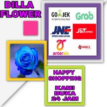 Logo DILLA FLOWERS