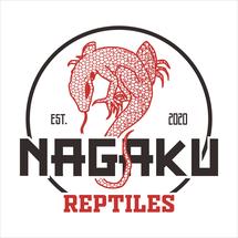 Logo NAGAKU STORE