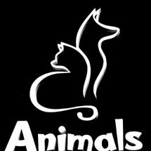 Logo PetsStation Pluit