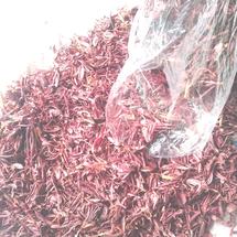 Logo bawang dayak herbalku