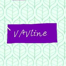Logo VAVline