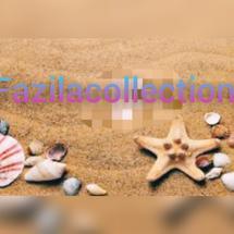 Logo fazilacollection