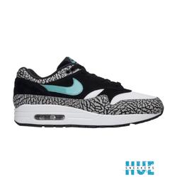 air max 1 atmos jordan